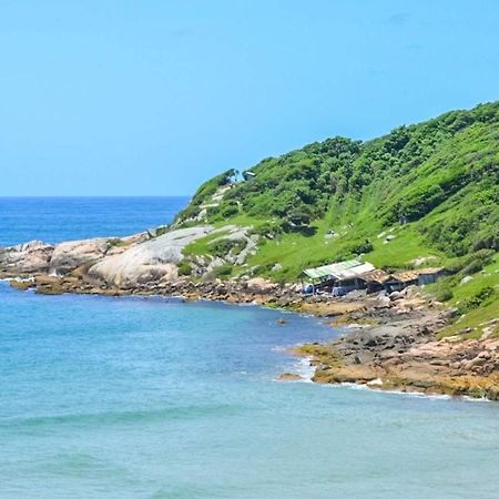 Вілла Casas A 200 Metros Do Mar . Прая-ду-Роса Екстер'єр фото